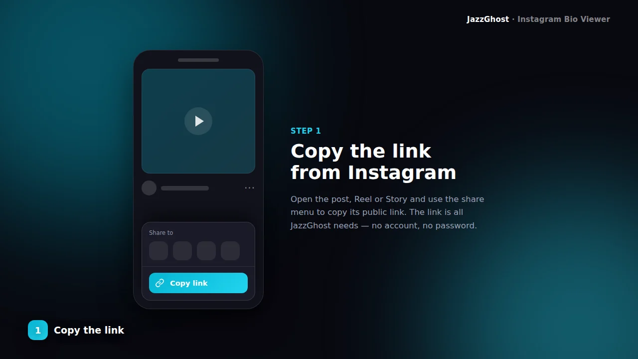 Enter Instagram username for bio lookup